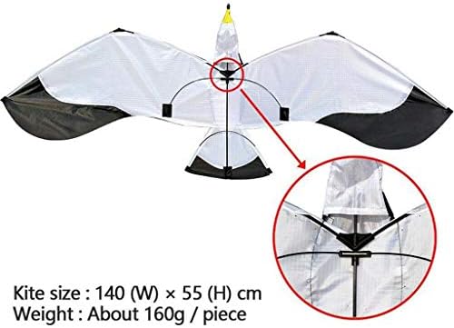 Лесно да се лета Делта змеј 3Д галеб змеј отворено летачки играчки за летање, преклопена галебска активност најдобра активност за подароци
