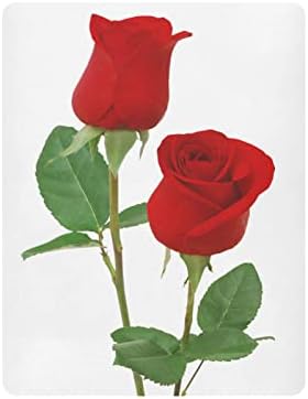 Алаза црвена роза цвет цветна креветче за креветчиња опремени листови за басинет за момчиња бебе девојчиња дете, стандардна големина 52 x 28