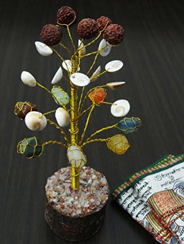Хармонизирајте мултистон Рудракш Гомати Чакра кукави школки моќ Реики лекување на кристално дрво духовно декор на маса