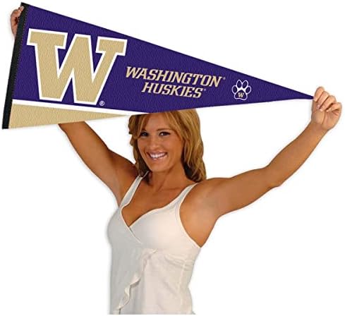 Универзитетот Вашингтон Знаменце Целосна Големина Чувствува