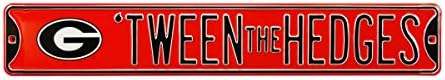 НЦАА Твин Хеџис Со Логото На Џорџија Уличен Знак, Тимска Боја, 36 х 6