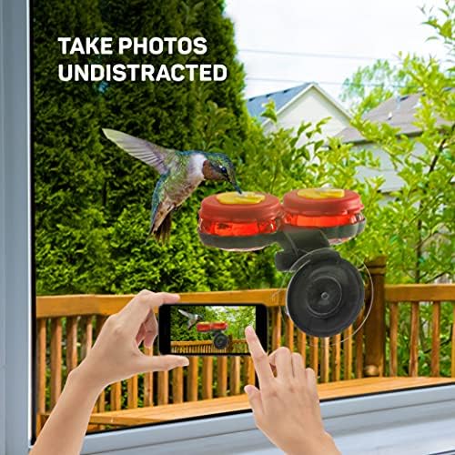 Рачни колибри за колибри за колибри мали колибри за количини со стакло со вшмукување на прозорец