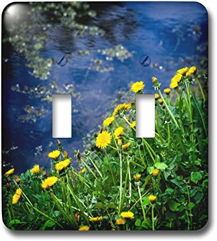 3drose lsp_273825_2 жолти цвеќиња од глуварче, зелена трева од прекинувачот за вклучување на сината вода, мешан