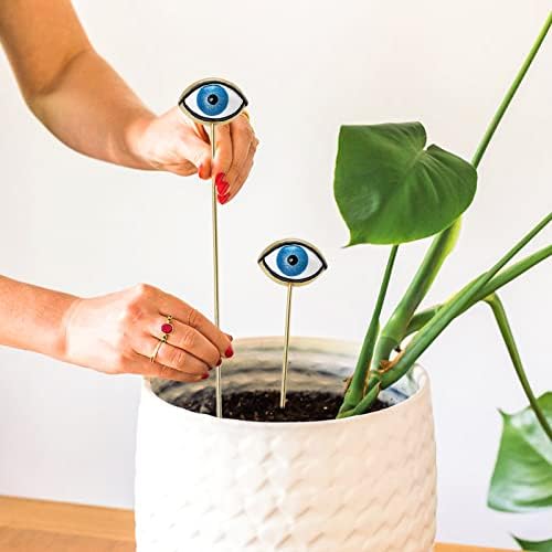 Tuitessine смола растителни очи СТРАНИЦИ сет од 2, додаток за растенија за градинарски градинарски градини, избор на зли растенија за очи, украсување