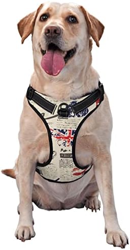 Куче Темперамент Весникот Лондон Ретро Миленичиња Прилагодливи Отворен Елек Прицврстува Големи