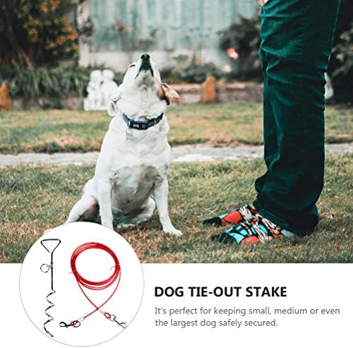 2 парчиња кучиња врзани за домашни миленици во дворот кампување на отворено, спирално сидро, загрозување за дома, за забава за славење