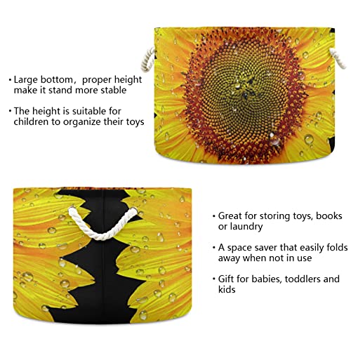 Алаза сончоглед Затвори цвет цветни корпи за корпи за куќи за куќи со кутии големи склопливи алишта за перење со рачка, 20x20x14 во