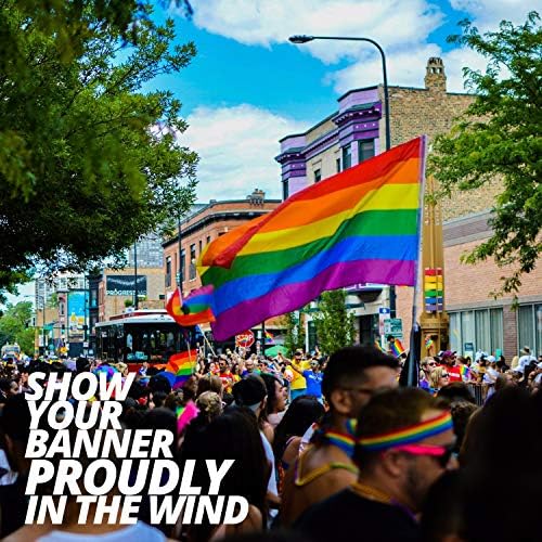 Anley Fly Breeze 3x5 Foot Rainbow Pride Flag - Вивост во боја и доказ за избледени - заглавие на платно и двојно зашиени - геј ЛГБТ Денот на гордоста Парада ЛГБТК знамиња на банер на заед?