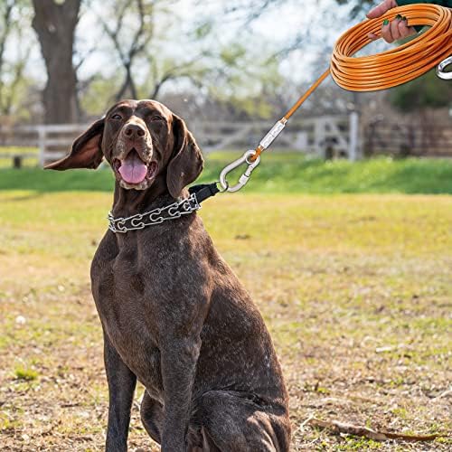 Портокалово силно кучиња извалкаат кабел поводник со челик букл, 10/20/30/50/100ft тешка врата на кабел за кучиња до 250 фунти, долги тренинзи