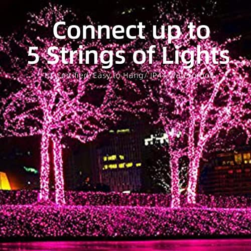 Xmashome 19,6ft зелена жица розова жица светла, 100 брои блескави Божиќни светла,