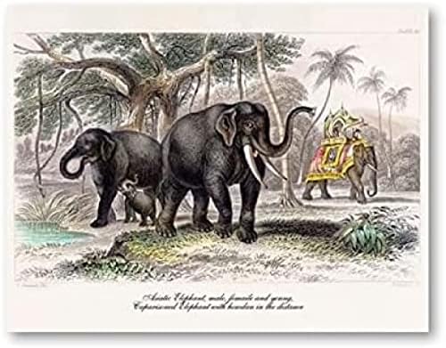 5д DIY дијамантски сликарство Слонови Семејно животно животно слон целосен дијамантски вез за мозаик крст -бод комплет 3д сликарство