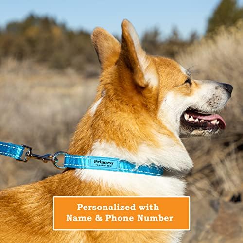 Персонализирани јаки од кучиња Pawblefy - рефлексивна најлон јака прилагодена со име и телефонски број - прилагодливи големини за мали кучиња,