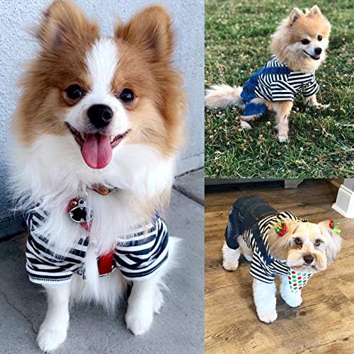 Кучиња фармерки дуксери со палто за миленичиња, тексас, џемпери, целокупна симпатична кучиња облеки меки класични кучиња јакна
