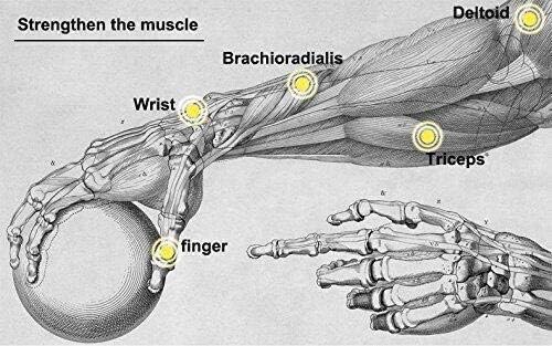 Автоматско Стартување На Рачниот Зглоб Тренер За Рачен Зглоб Вежба За Подлактица За Зајакнување На Зглобот Тренингот За Играчки Спинер