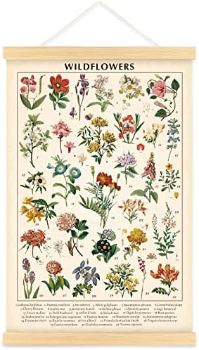 Гроздобер диви цвеќиња постер ботаничка wallидна уметност отпечатоци шарен рустикален стил на цветни wallидови што висат илустративни референтни