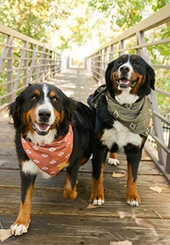 Willow Creek Pet Compel Bandana Charana за кучиња и кутриња | Западен 4 пакет | Двојна слоевита издржлива ткаенина | Симпатична и