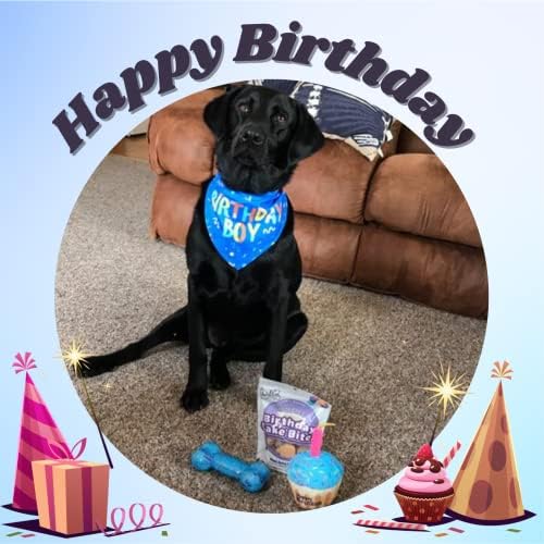 Брема Куче Роденден Играчка, Прославете Го Вашиот Роденден со Ова Куче Писклив Играчки, Роденденски Подарок за Кученца. Роденденската