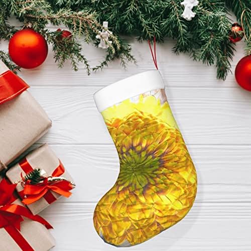 Божиќни чорапи на Аугенстерски чорапи Сончоглед Акварел сликарство двострано камин што виси чорапи