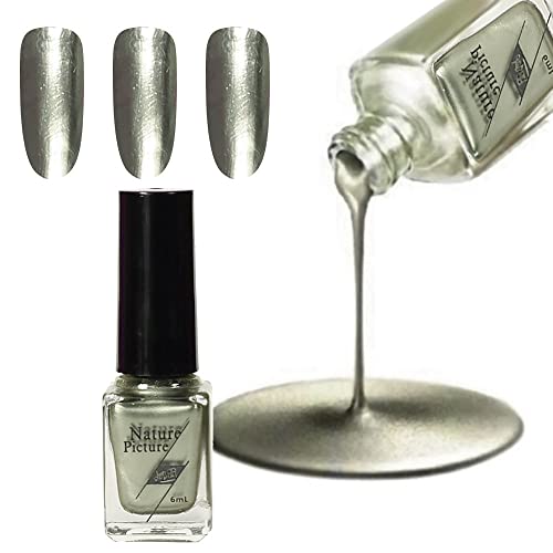 1 парчиња лак за нокти, сребрена паста метална боја, огледало од не'рѓосувачки челик, сребро за професионални алатки за уметност за нокти
