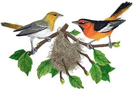 Природата ткаеше во навои, неверојатни птици Кралството Булок Ориолес и гнездо] [Обично и уникатно] везено железо на/шива лепенка [10,55 6,89]