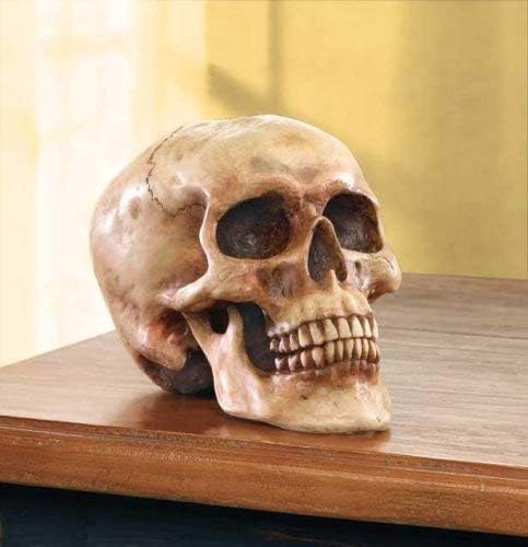 Замачкана високо реална реплика статуа на човечки череп домашен декор 6.5x4.25x4.6 “