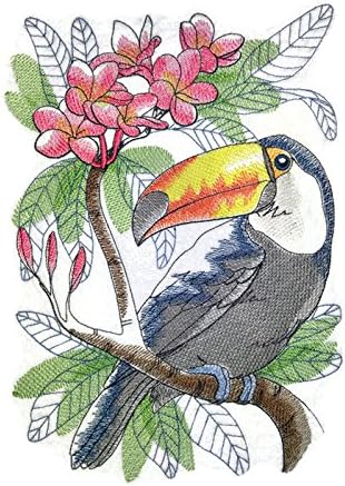 Природата ткаеше во навои, Неверојатни птици Кралство [Тропска скица на Тукан] [Прилагодено и уникатно] везено железо на/шива лепенка