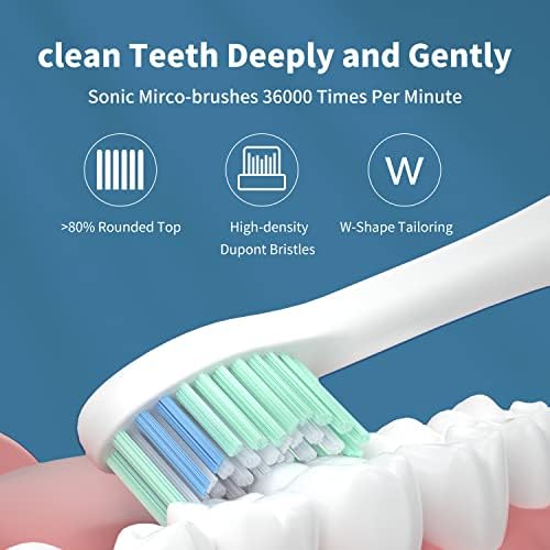 Возрасни Whitop CD-14 Sonic електрична четка за заби за мажи и жени што ја полнат електронската моќност ултразвучна четка за заби со 4