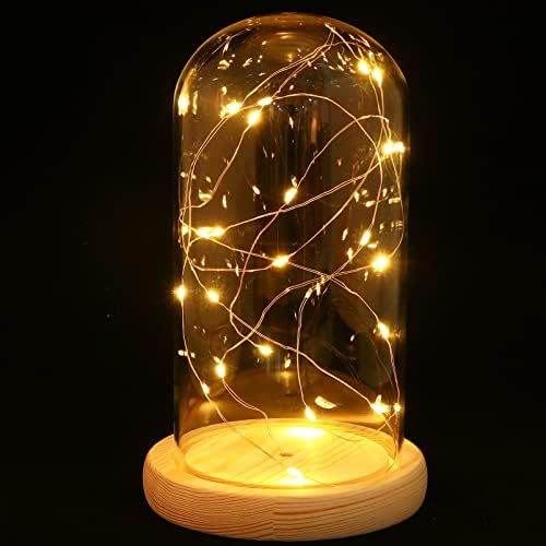 Solustre LED самовила светла Firefly Lights jar светла USB стаклена купола жица светла мини жица светла Fireflyвездени светла тегла за
