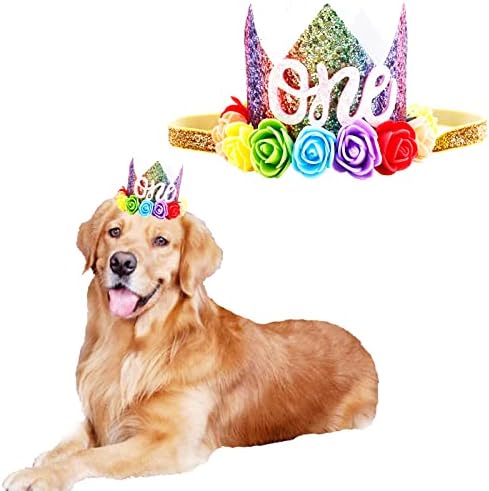 Симпатично куче од виножито роденденско цвеќе круна миленичиња роденденски цветник на 1 -ви 2 -ри 3 -ти Бдеј капа за кученца Фото Фото