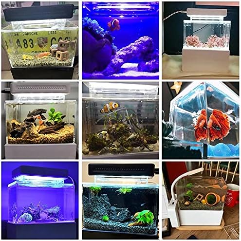 Wjccy Mini Rish Tank Desktop Marine Aquaponic Aquarium Fish Bowl со вода флитер LED светло USB пумпа за воздух Преносни украси