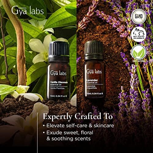 Gya Labs Vanilla & Lavender Essential Mail-2-во-1 пакет