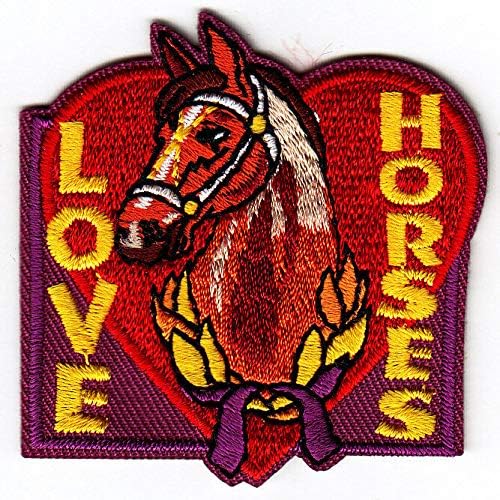 Loveубовни коњи железо на закрпи западен југозападен фарма коњ