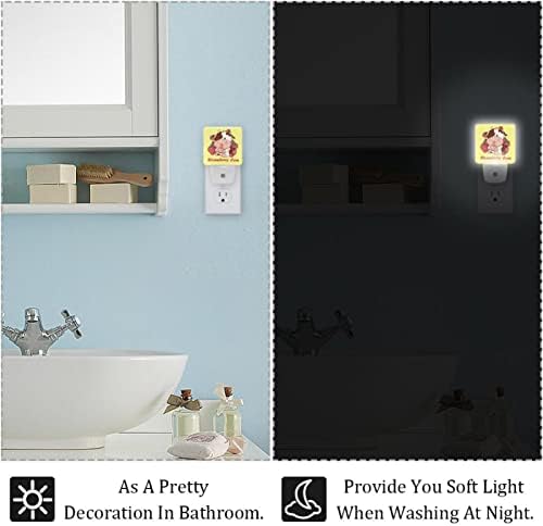 LED Rodailycay LED автоматски самрак на ситница за сензори, 2 пакувања приклучок за ноќно светло за бања, спална соба, детска соба, ходник, скали, расадник, кујна јагода крава