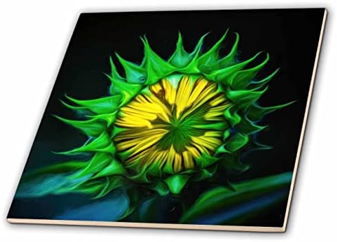 3дроза Мајк Измама Фотографија-Цвеќиња-Затворање на сончоглед цут-Плочки