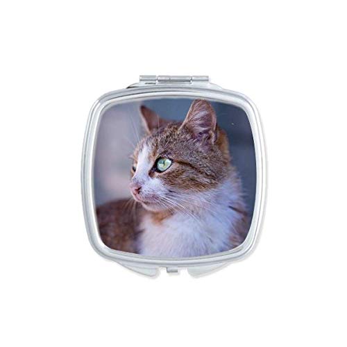 Кафеава мачка профил на животни за зјапање на огледало Преносен компактен џеб шминка двострано стакло