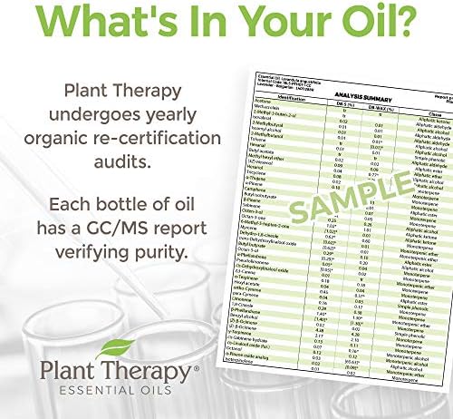 Растителна терапија Органска црна смрека 10 ml есенцијално масло чисто, неразредено, терапевтско одделение