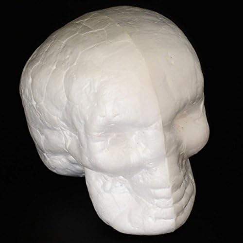 Колакси 10 парчиња полистирен череп пена занаетчиски додатоци Hallowmas