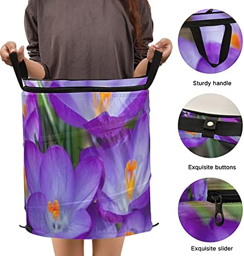 Виолетова цвеќиња од крокус се појавуваат со алишта со алишта со патент за патент, преклопна корпа за перење со рачки, организатор