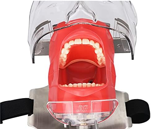 Евстом симулатор маникин фантомски модел на глава со монтажа на клупа на заби на забите