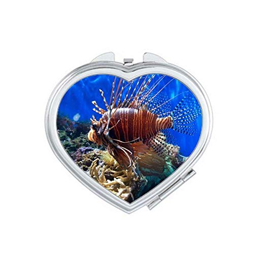 Океан медуза наука за природата Слика Слика Огледало за патување Преносен рачен џеб шминка