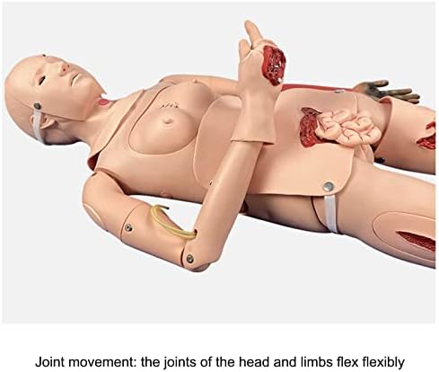 160см Медицински манекен за возрасни целосни тела CPR Обука за маникин во ПВЦ медицинска обука настава маникин за едукација и настава
