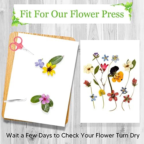 Сузико цветни додатоци, 6 чаршафи за сушење на плочи за сушење суво цвеќе лисја од овошје, притискање на замени за DIY уметност за ракотворби