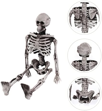 Скелети Скелет за Ноќта на вештерките целосен скелет на телото со подвижни зглобови Човечки череп модел 14см симулација Анатомско човечко