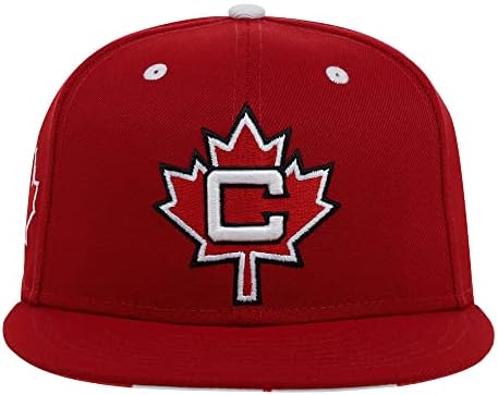 Прстени и crwns Канада, лого на гордоста на земјата, опремено рамна сметка за црвена црвена боја