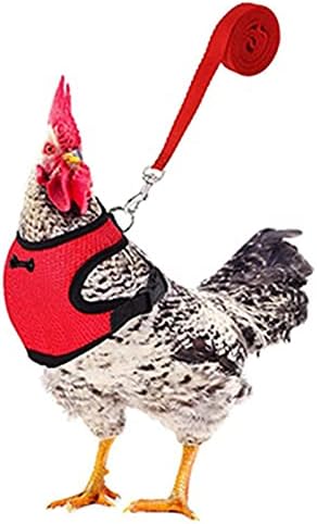 Нлагер Пилешко Темперамент Големина На Кокошка со 6 стапки Соодветен Поводник Прилагодлив Еластичен Удобен Дише Мал Погоден За Пилешко Мерење