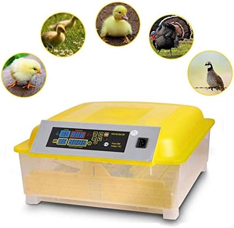 ЗАПИОН Инкубатори За Јајца За Ведење Автоматско Вртење Дигитална Контрола На Температурата Живина 48 Јајца За Кокошки Патки Птици