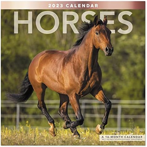2023 Коњи Месечен Ѕиден Календар, 16 Месеци, 12 х 12