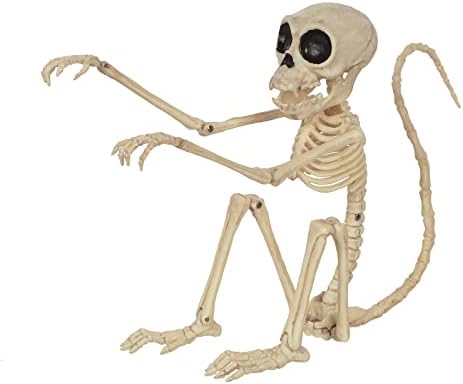 Луд коски од мал скелет мајмун