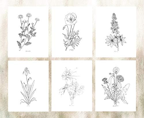 Современи ботанички отпечатоци | Црно -бели диви цвеќиња од Ink Inc. | Цртежи на минималистичка цветна линија | Сет од 6 8x10 нерасположени