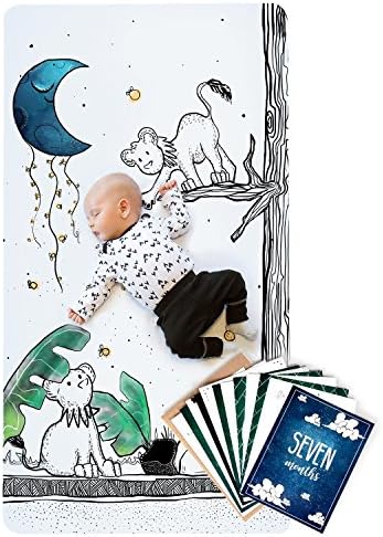 Scompoff Jo - Бебе креветче за креветчиња и пакет картички за фотографии, одличен подарок за очекувајќи мајки и тушеви за бебиња - 1 ќебе и 12 двострани картички - Lionhearted